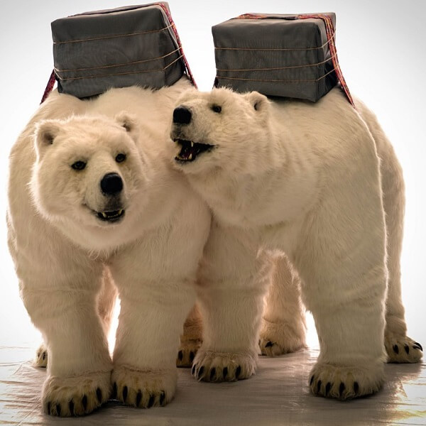 Animatronic Polar Bear Show 