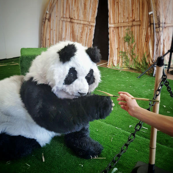Animatronic Panda Show