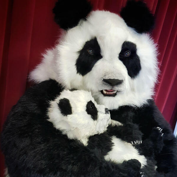 Animatronic Panda Show