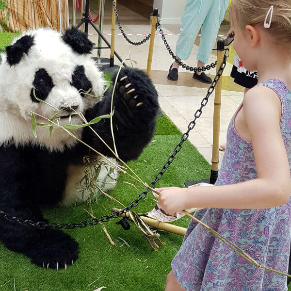 Animatronic Panda Show