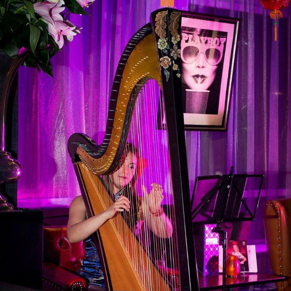 Harpist