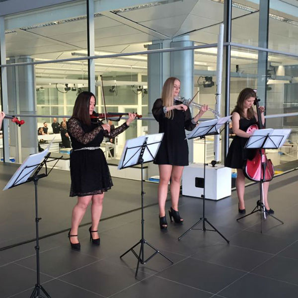 String Quartet (String Divas) 