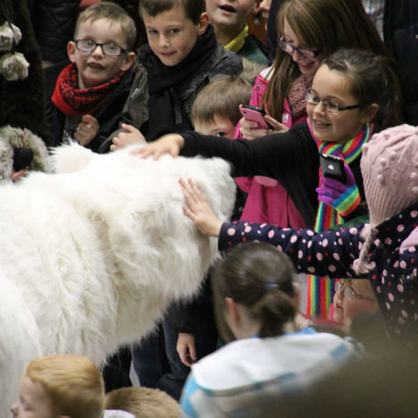 Animatronic Polar Bear Show 