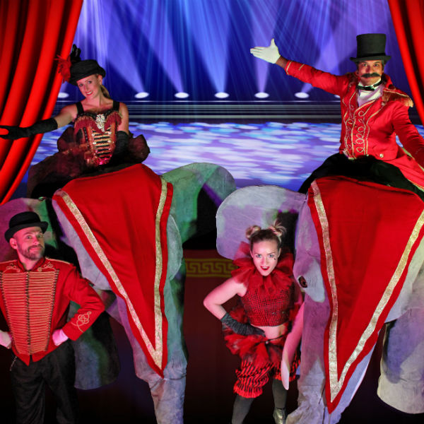 Circus Shows & Performers 