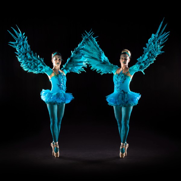 Winged Ballerinas