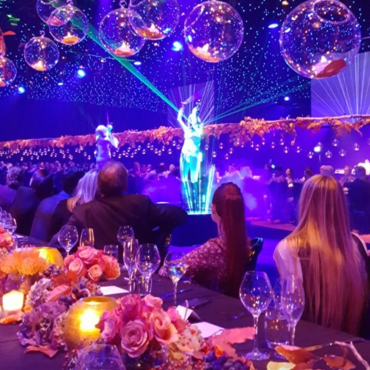 LED & Laser Violinist
