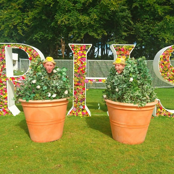 Topiary Bushes