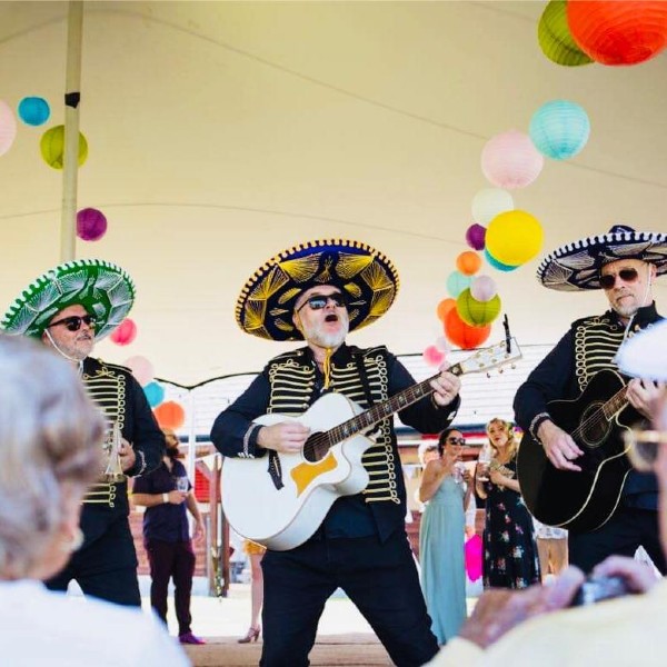 Mariachi Band (Mariachi Los Amigos)