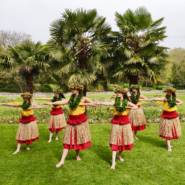 Polynesian Hawaiian & Tahitian Dancers 