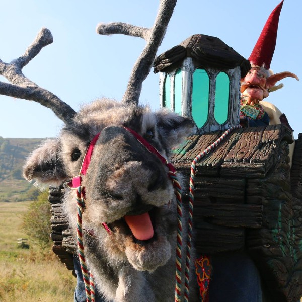 Animatronic Reindeer Walkabout 