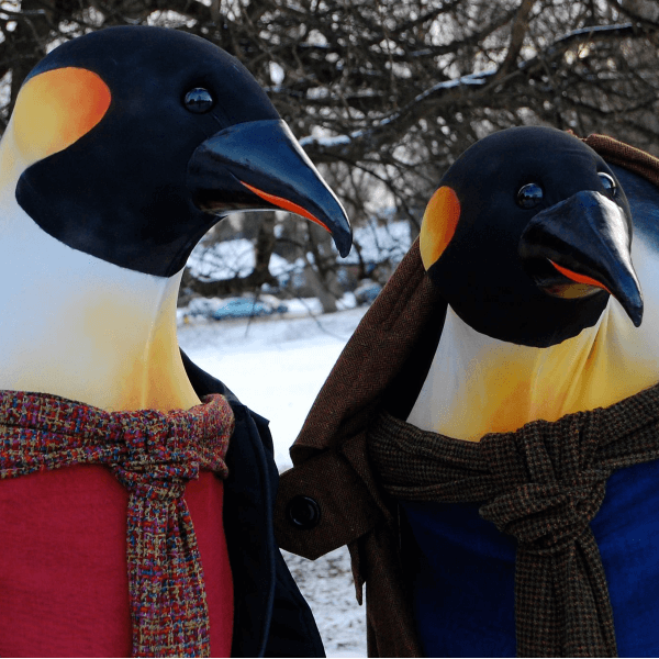 Christmas Penguins