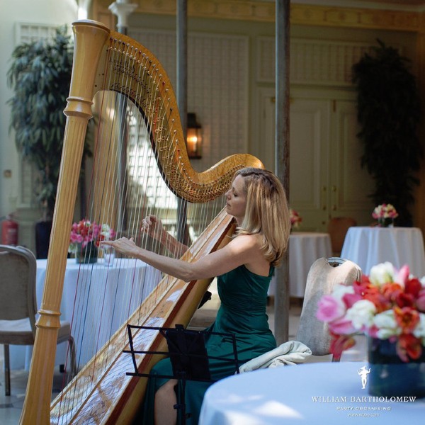 Bollywood Harpist