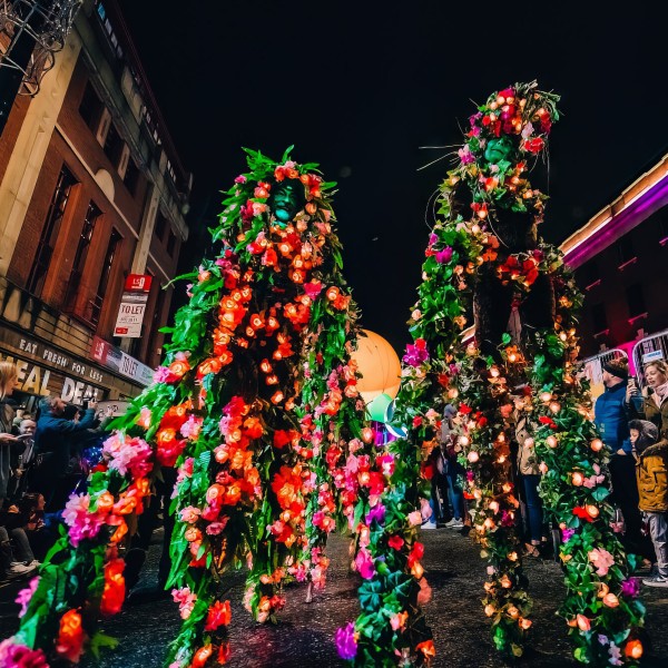 Stilt Walking Trees