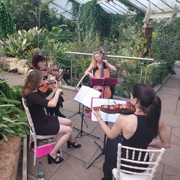 Bollywood String Quartet (Bollywood String Divas) 