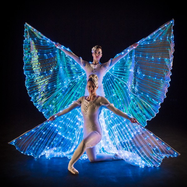 LED Winged Ballerinas