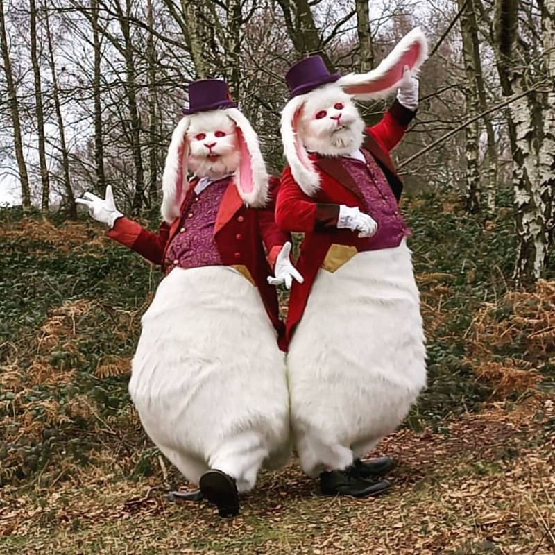 The Dandy Hares
