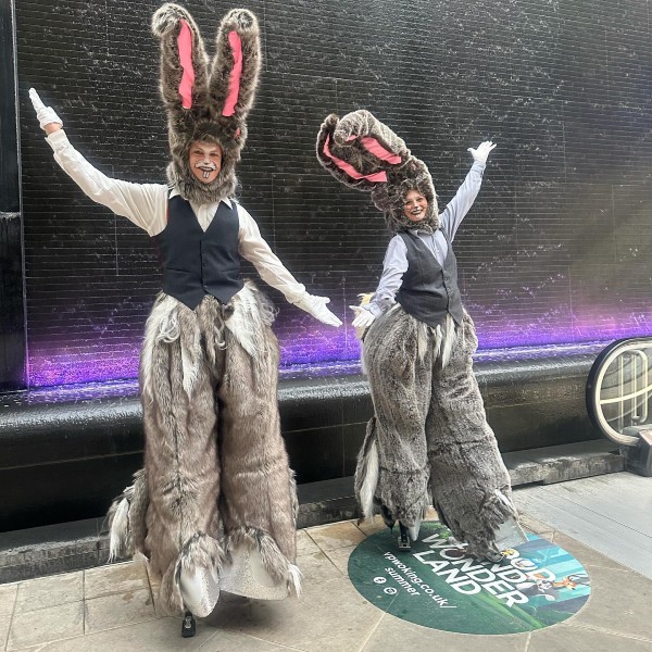 Bouncy Bunnies