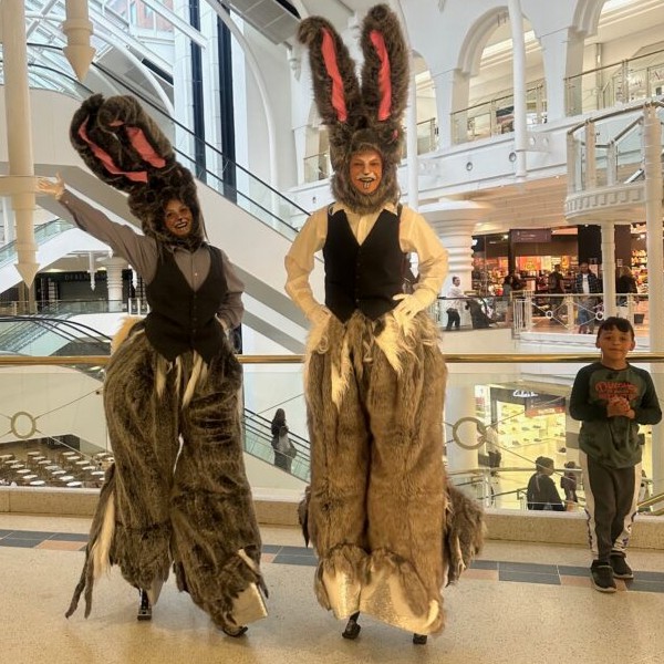 Bouncy Bunnies
