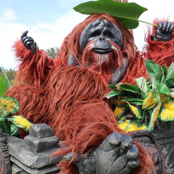 Orangutan Outlaws
