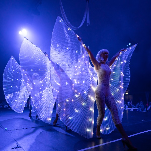 LED Wing Dancers 