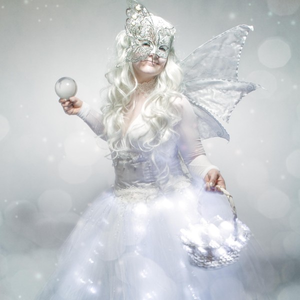 The Crystal Winter Fairy