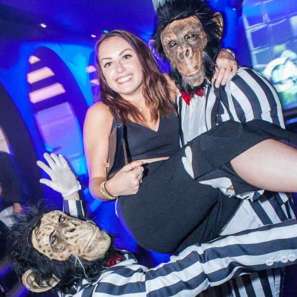 Party Chimps 