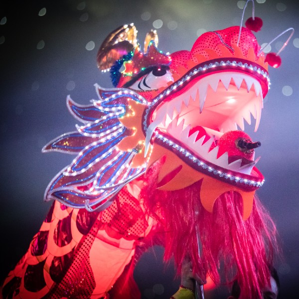 LED Chinese Dragon