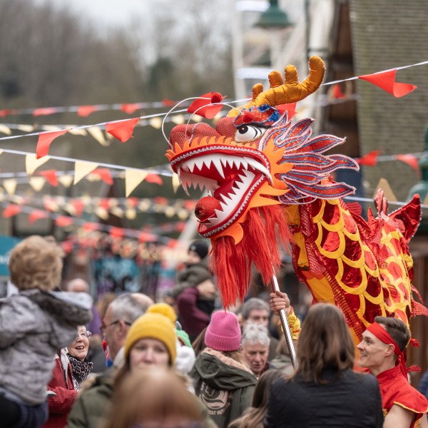 LED Chinese Dragon