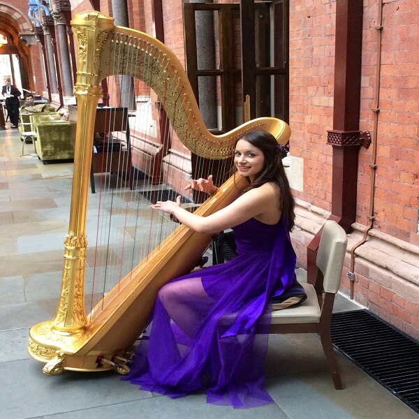 Bollywood Harpist