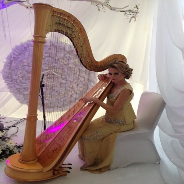 Bollywood Harpist